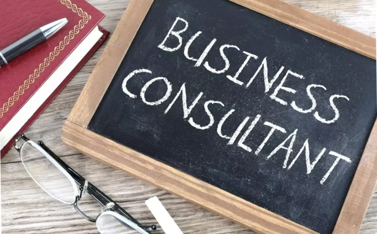  The Role of a Business Consultant in Your Venture’s Triumph